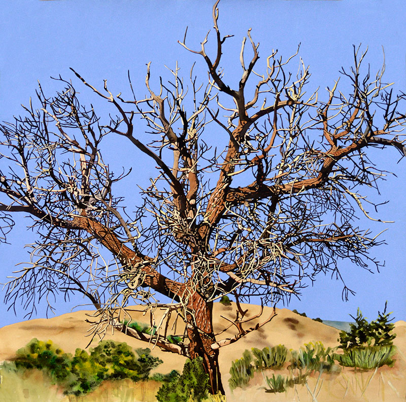 Tree in Dunes