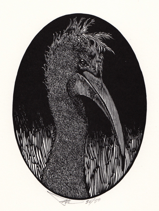 The Stork