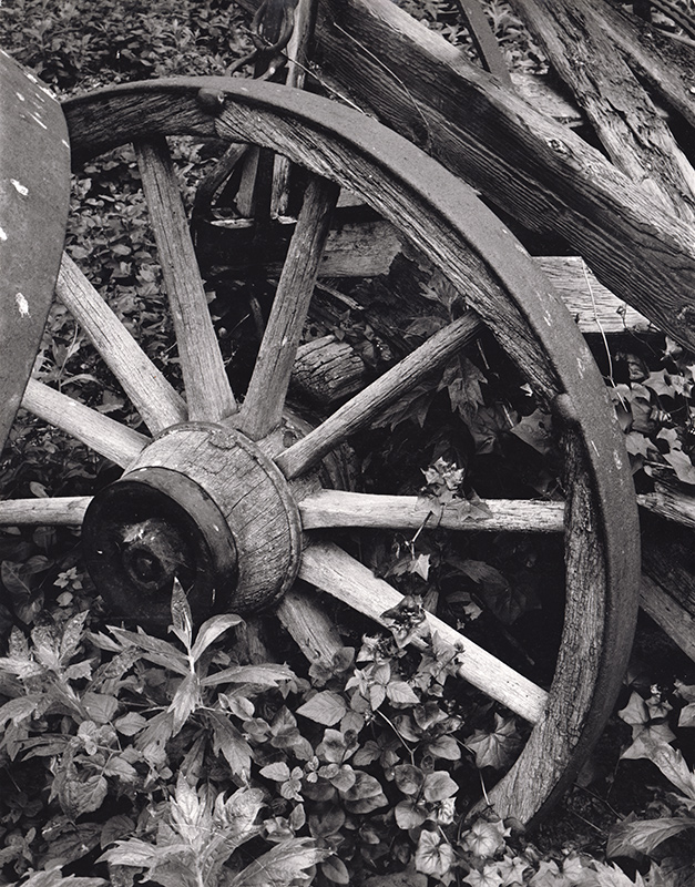 Wagon Wheel 2
