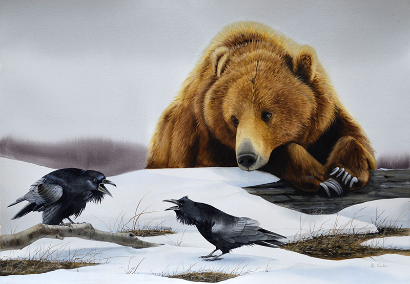 Bear with Ravens