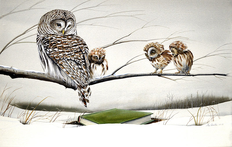 Owl and Owlets