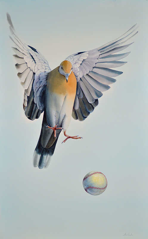 Pigeon with Baseball40x25 in