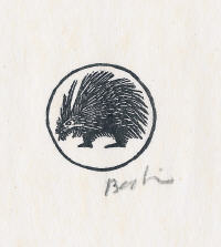 Little Porcupine