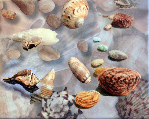 Pebbles and Shells 4