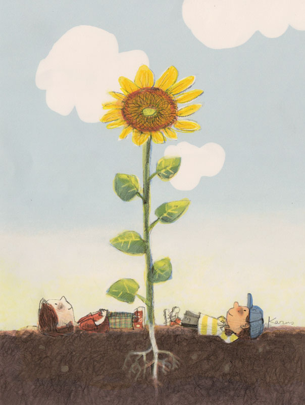 Sunflower Grows