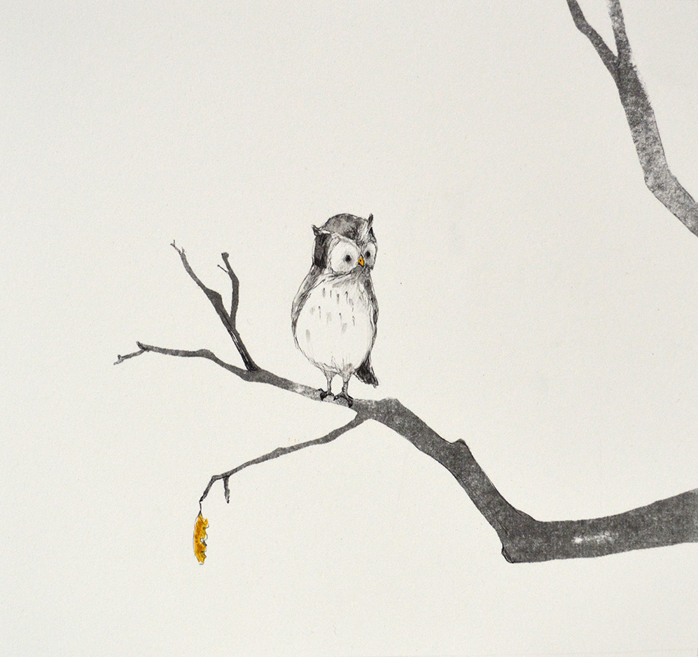 Small Owl on Branch