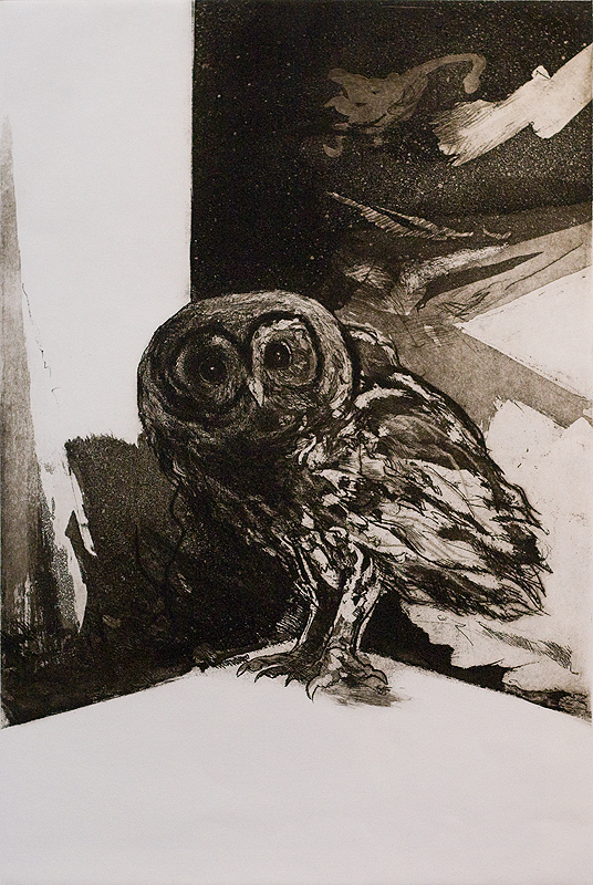 Owl(Etching)