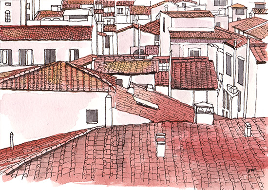 Terra Cotta Rooftops