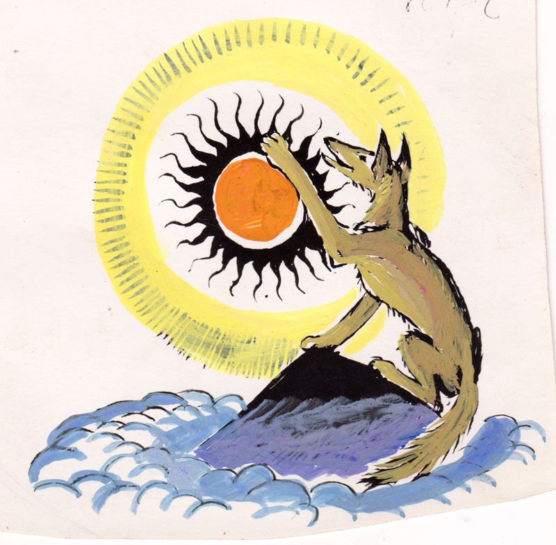 Coyote Reaches for the Sun Study Colored