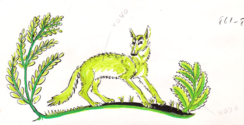 Coyote Was a Bright Green Color Colored