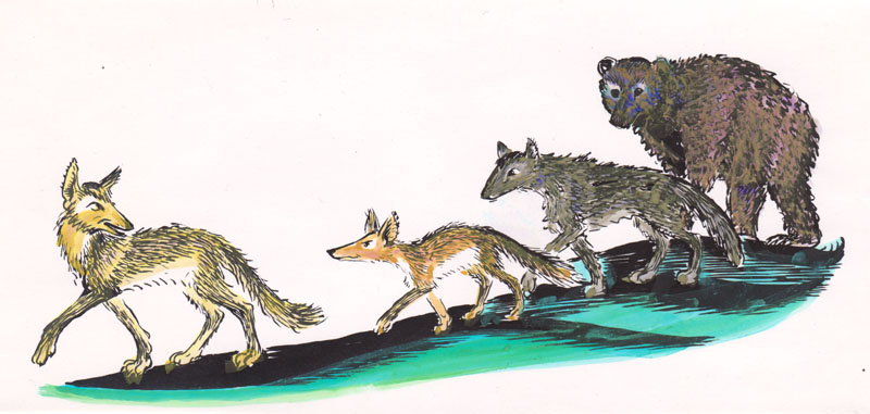 Followed by a Wolf and Fox and Grizzly Bear Colored