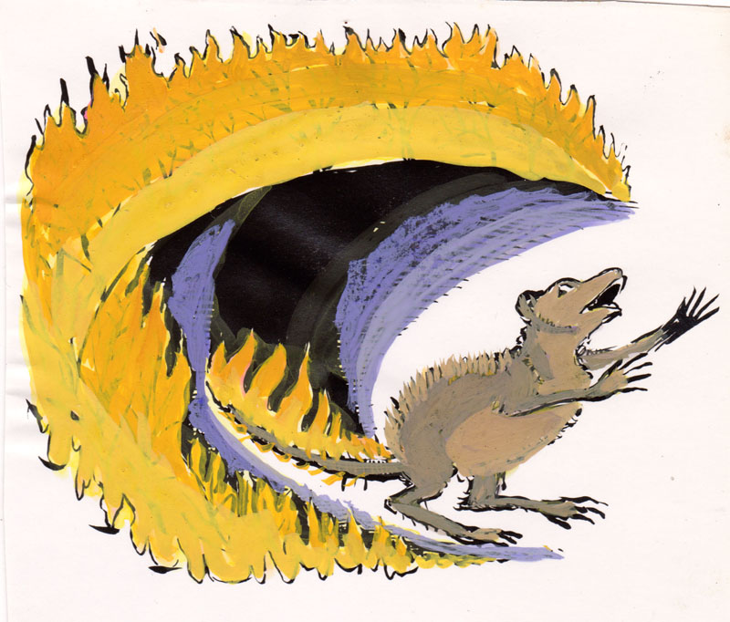Possum on Fire Study Colored