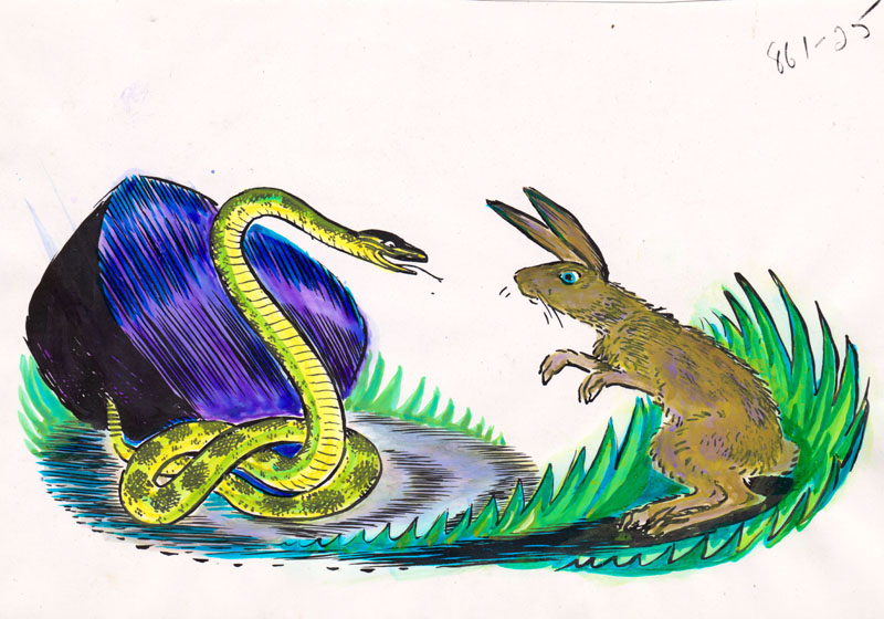 Rattlesnake and Rabbit Colored