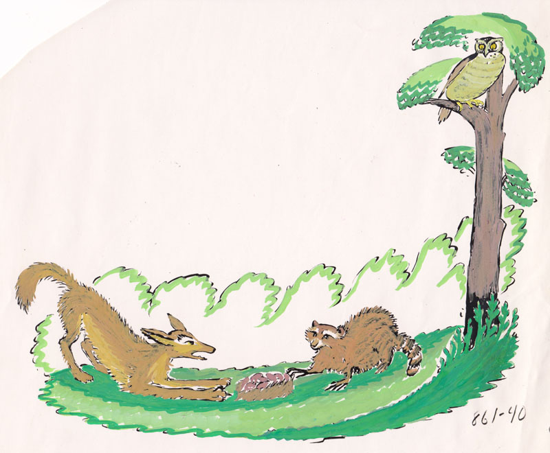 Sharing with Racoon Study Colored II