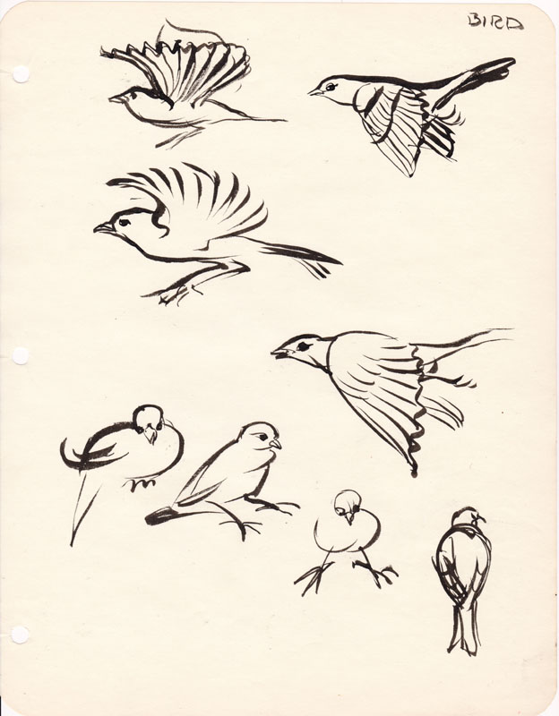 Sketchbook Bird