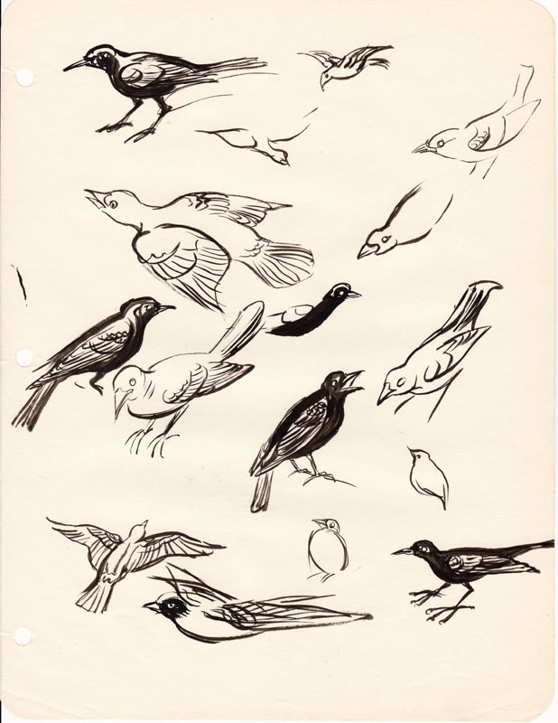Sketchbook Blackbirds II