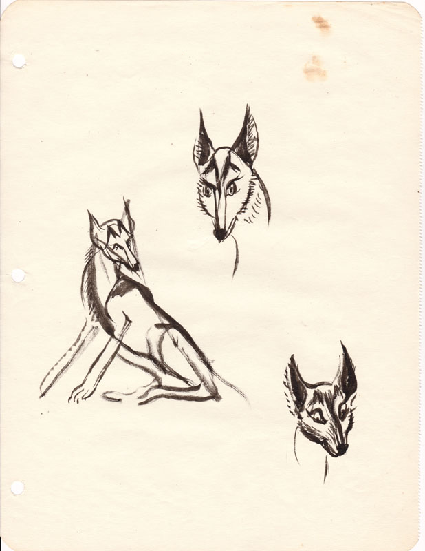 Sketchbook Coyote II