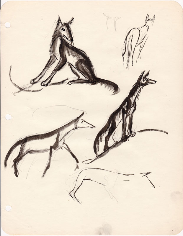 Sketchbook Coyote VI