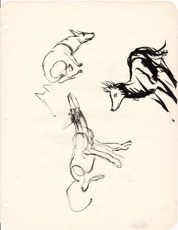Sketchbook Coyote VIII