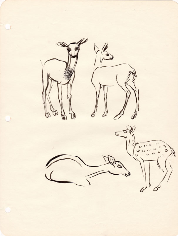 Sketchbook Deer III