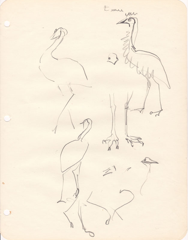 Sketchbook Emu II