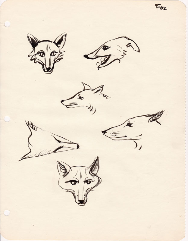 Sketchbook Fox IV