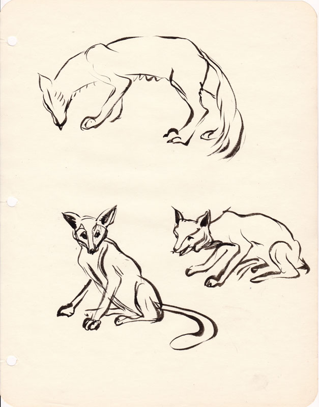 Sketchbook Fox V