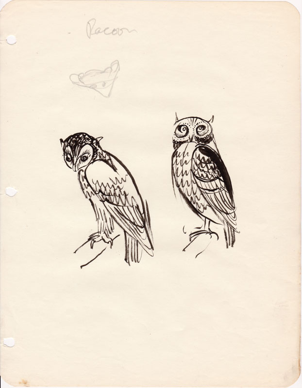 Sketchbook Owl II