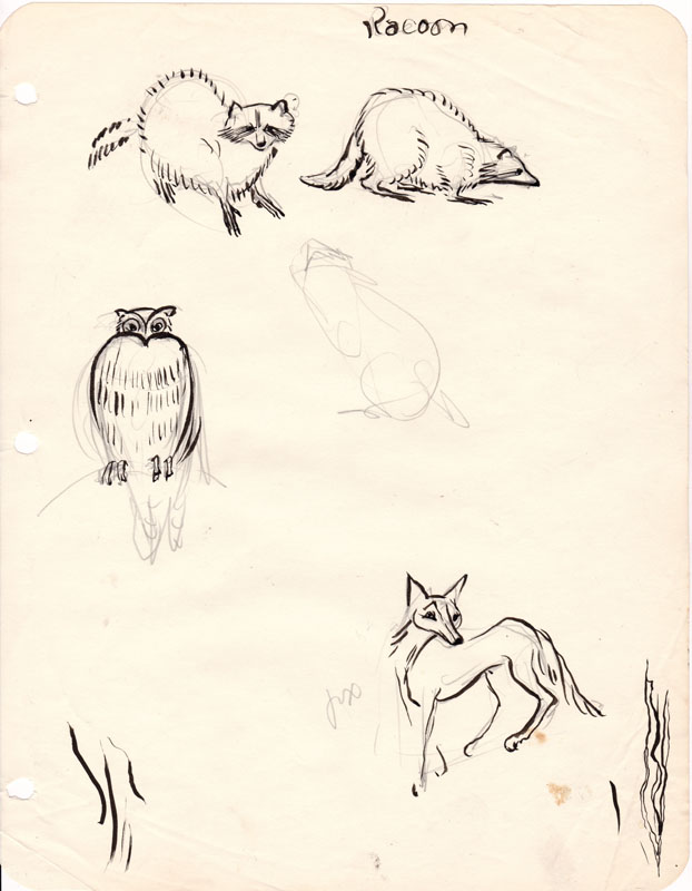 Sketchbook Raccoon and Owl