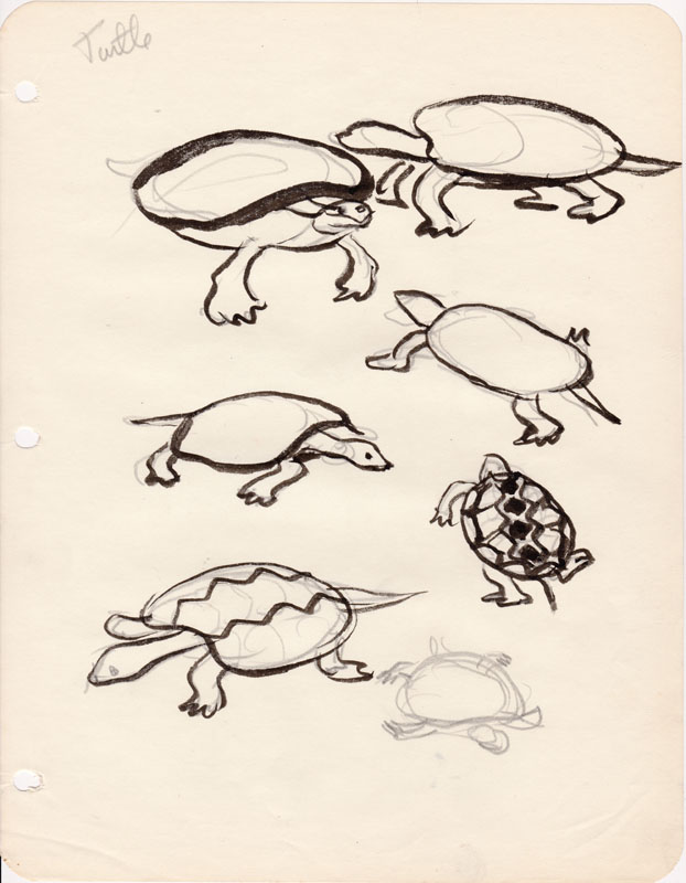 Sketchbook Turtle II