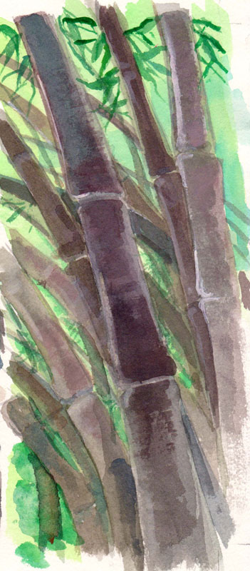 Bamboo Spot