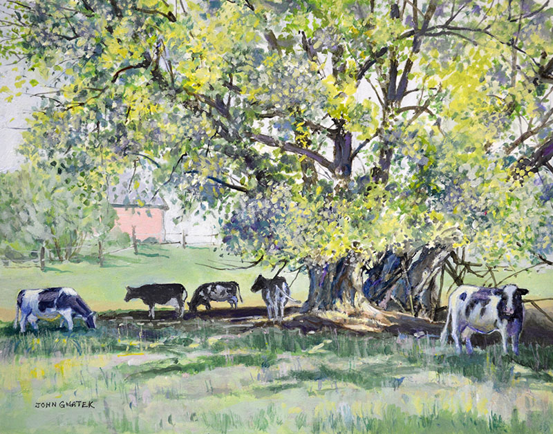 Cows in the Shade of Willow Trees