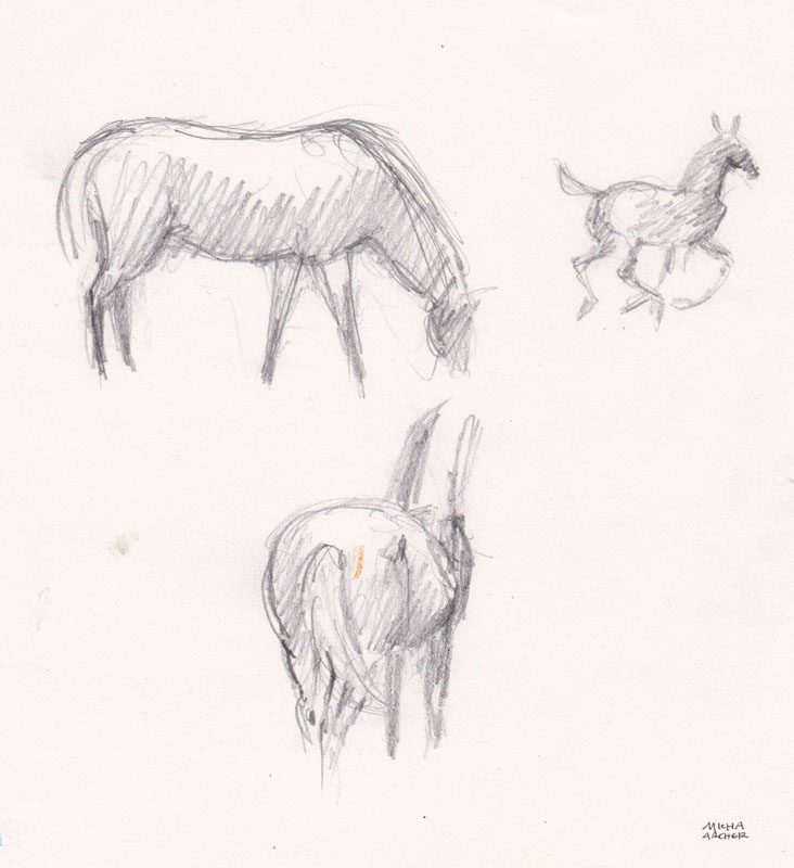 Horses Study