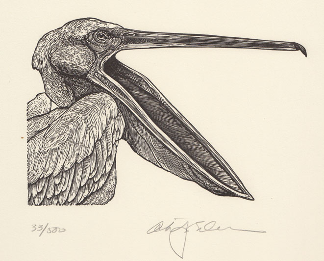 Pelican I