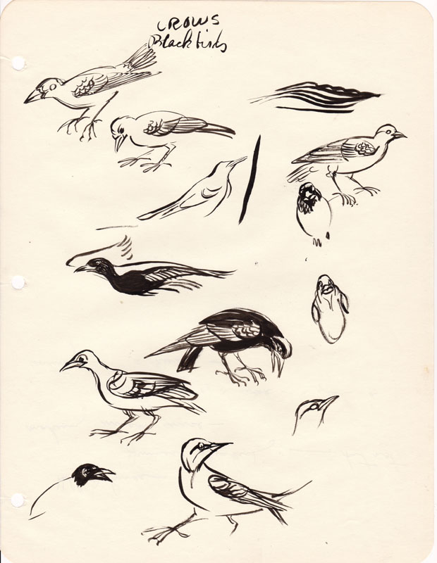 Sketchbook Blackbirds