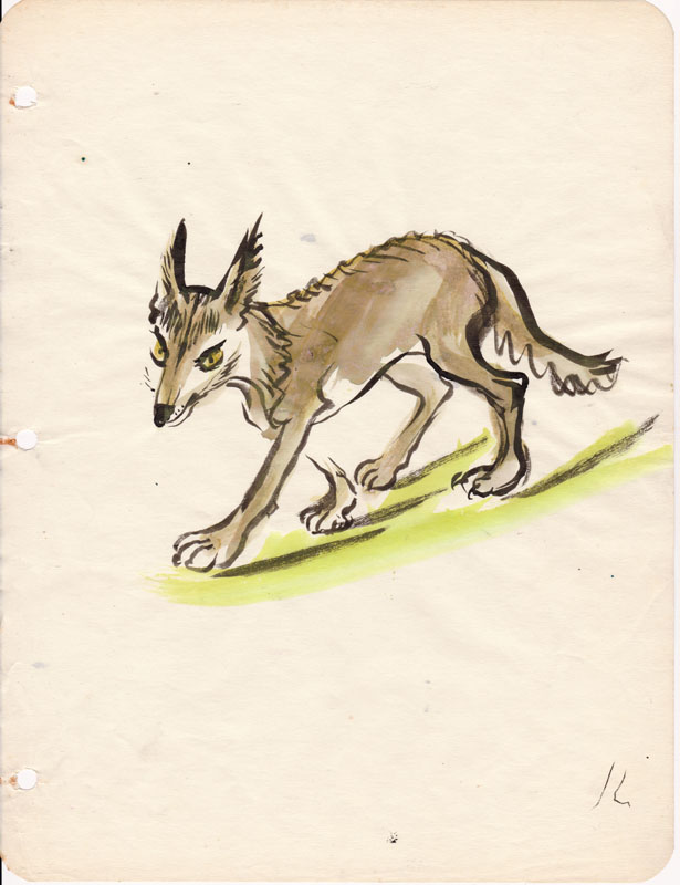 Sketchbook Color Coyote