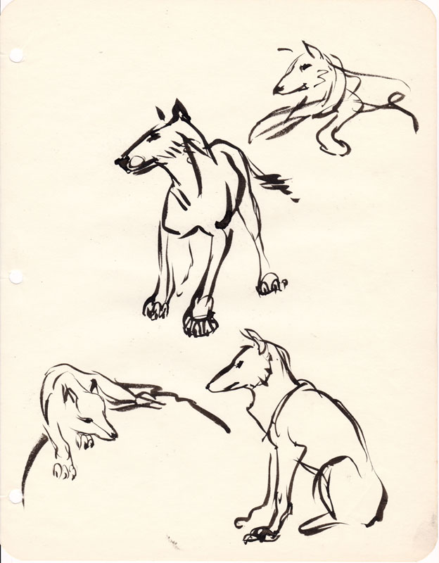 Sketchbook Coyote