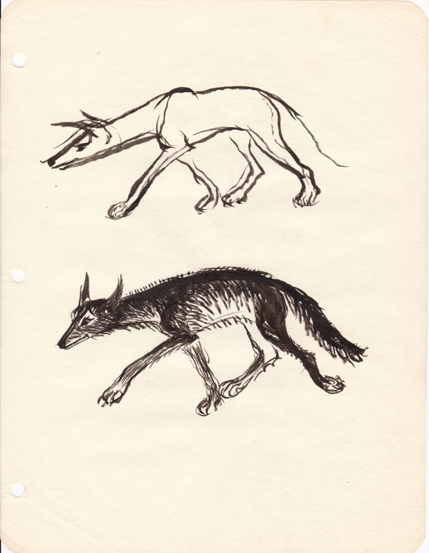 Sketchbook Coyote IV