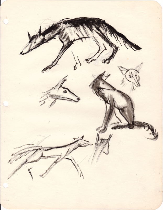 Sketchbook Coyote V