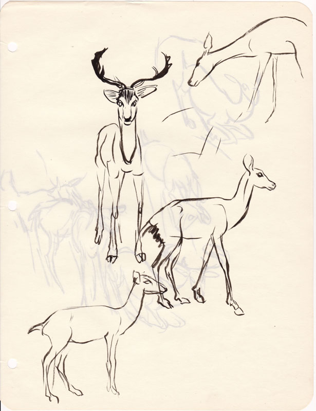 Sketchbook Deer II with Verso