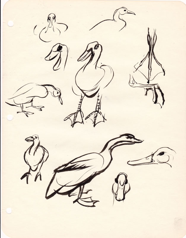 Sketchbook Ducks