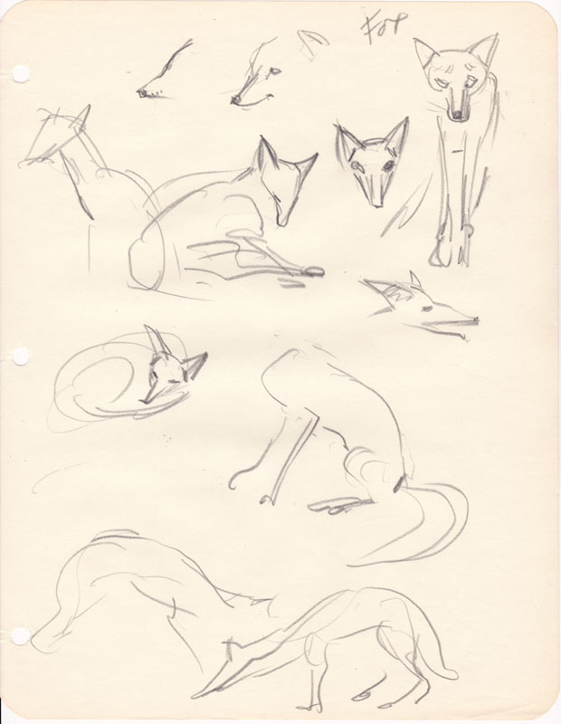 Sketchbook Fox III