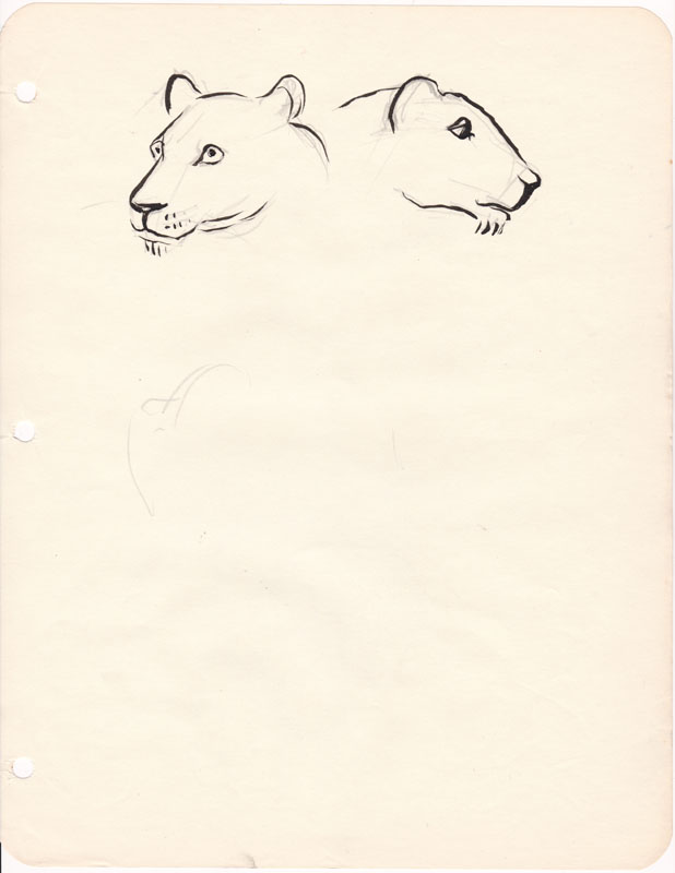 Sketchbook Lion Heads