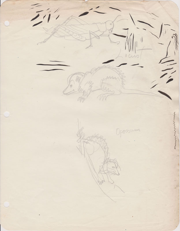 Sketchbook Locust and Opossum