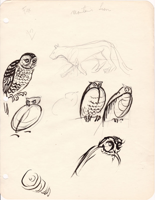 Sketchbook Owl