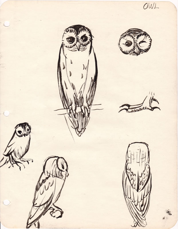 Sketchbook Owl III
