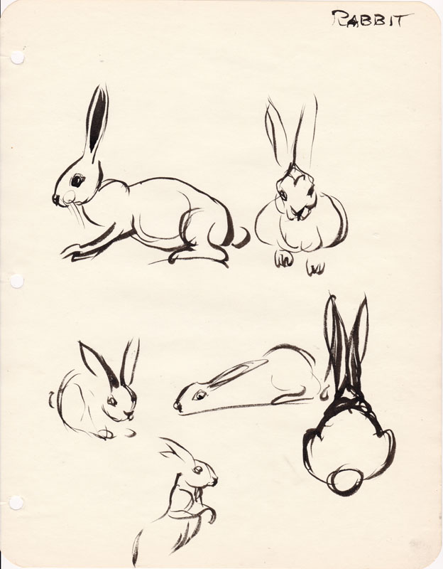 Sketchbook Rabbit