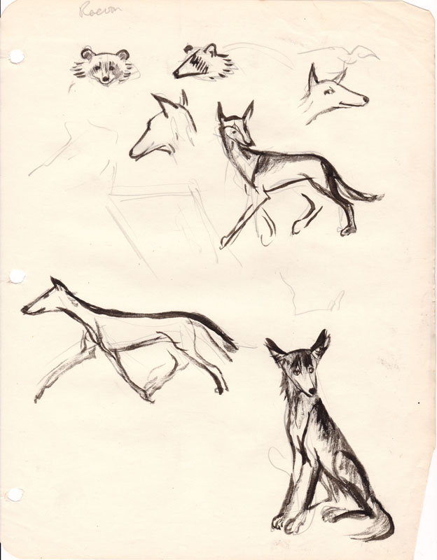 Sketchbook Racoon and Coyote