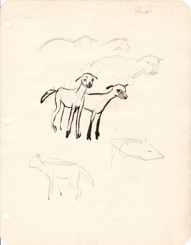 Sketchbook Sheep