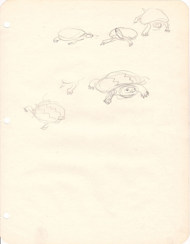 Sketchbook Turtle